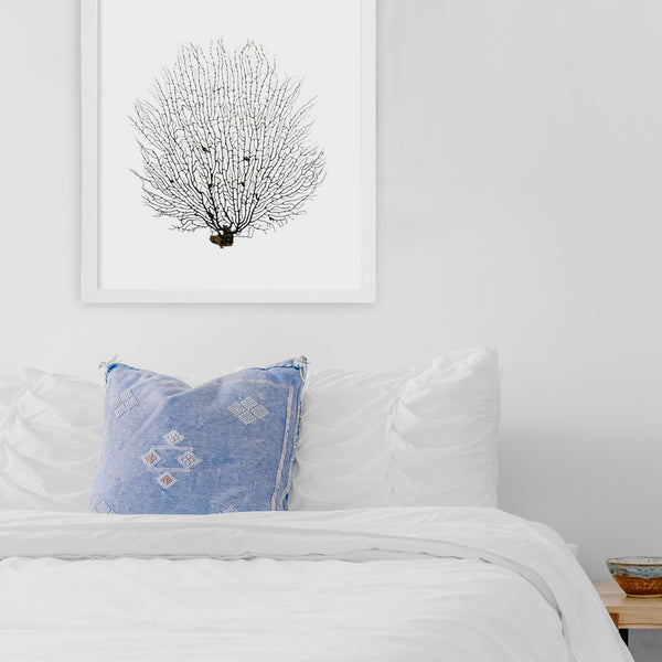 Framed Black Sea Fan - White Frame